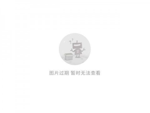搞AI代理差点把公司赔光！老板问我为啥不早找AI服务器代理，我真服了